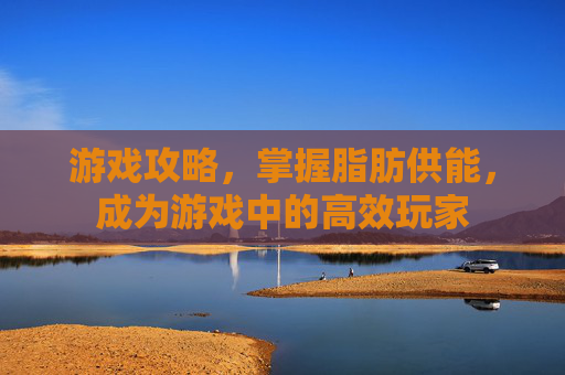 游戏攻略，掌握脂肪供能，成为游戏中的高效玩家