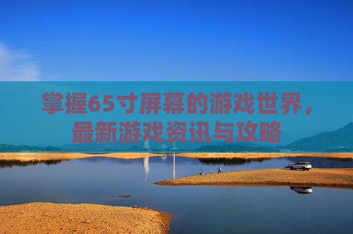 掌握65寸屏幕的游戏世界，最新游戏资讯与攻略