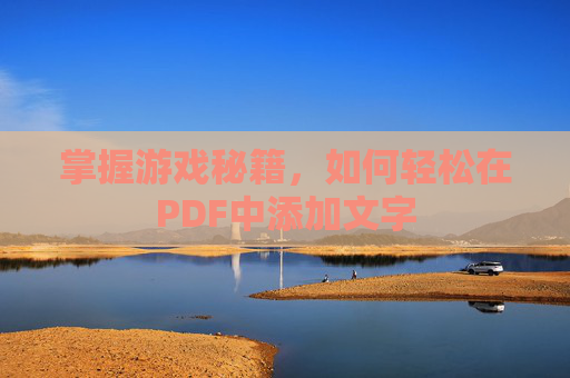 掌握游戏秘籍，如何轻松在PDF中添加文字