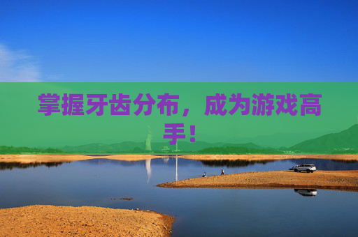 掌握牙齿分布，成为游戏高手！