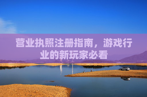 营业执照注册指南，游戏行业的新玩家必看