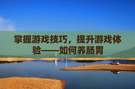 掌握游戏技巧，提升游戏体验——如何养肠胃