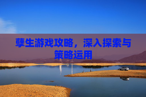 孽生游戏攻略，深入探索与策略运用