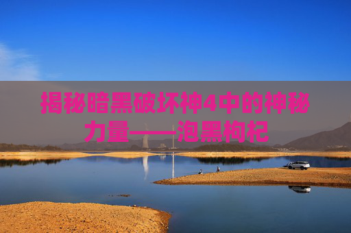 揭秘暗黑破坏神4中的神秘力量——泡黑枸杞