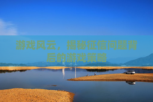 游戏风云，揭秘征信问题背后的游戏策略