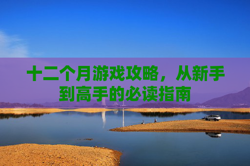 十二个月游戏攻略，从新手到高手的必读指南