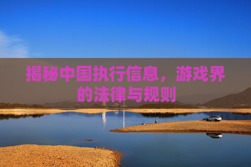 揭秘中国执行信息，游戏界的法律与规则