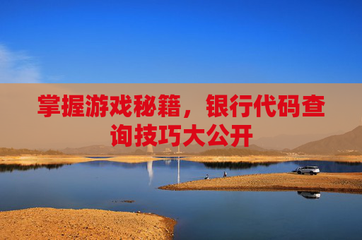 掌握游戏秘籍，银行代码查询技巧大公开