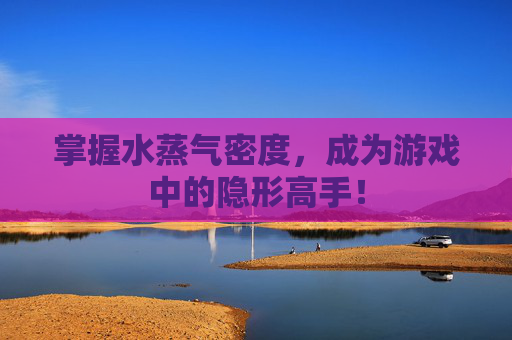 掌握水蒸气密度，成为游戏中的隐形高手！