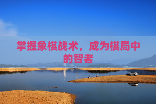 掌握象棋战术，成为棋局中的智者