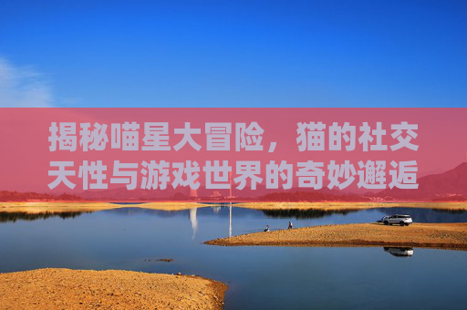 揭秘喵星大冒险，猫的社交天性与游戏世界的奇妙邂逅