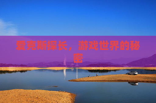 爱克斯探长，游戏世界的秘密
