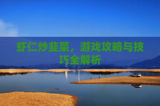 虾仁炒韭菜，游戏攻略与技巧全解析