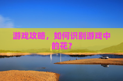 游戏攻略，如何识别游戏中的花？