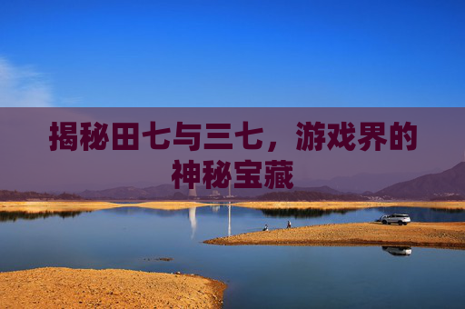 揭秘田七与三七，游戏界的神秘宝藏
