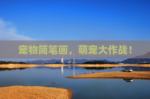 宠物简笔画，萌宠大作战！