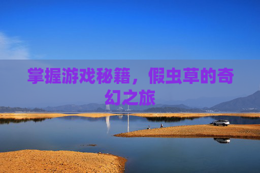 掌握游戏秘籍，假虫草的奇幻之旅
