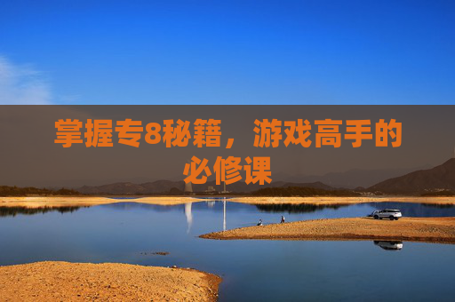 掌握专8秘籍，游戏高手的必修课