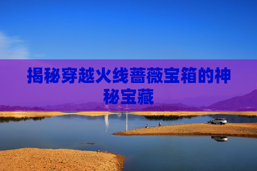 揭秘穿越火线蔷薇宝箱的神秘宝藏