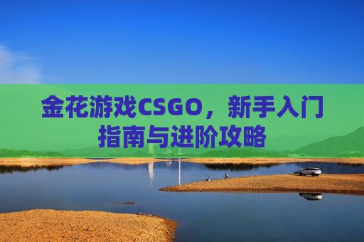 金花游戏CSGO，新手入门指南与进阶攻略