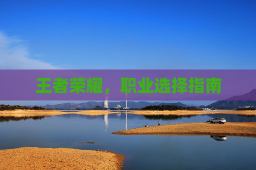 王者荣耀，职业选择指南
