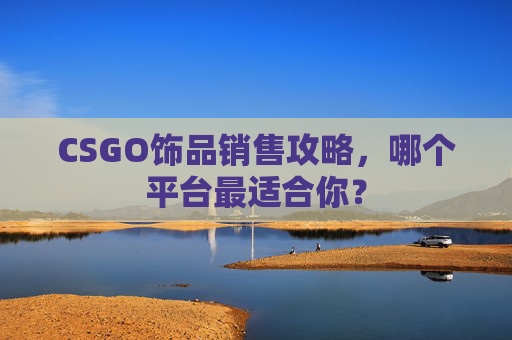 CSGO饰品销售攻略，哪个平台最适合你？