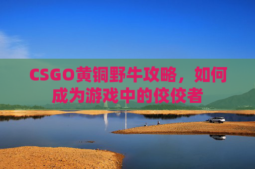 CSGO黄铜野牛攻略，如何成为游戏中的佼佼者