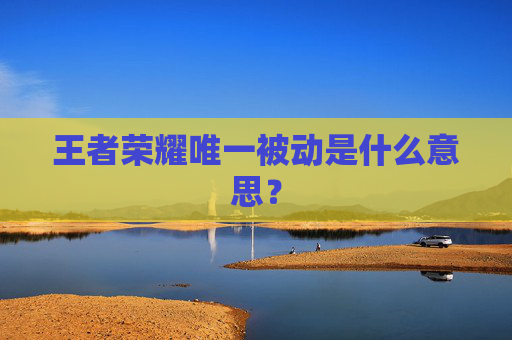 王者荣耀唯一被动是什么意思？