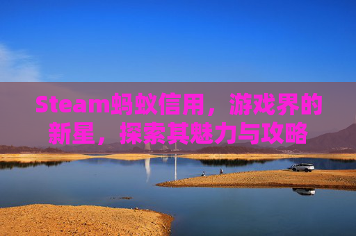 Steam蚂蚁信用，游戏界的新星，探索其魅力与攻略