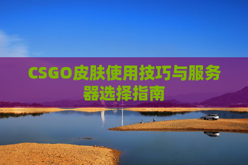 CSGO皮肤使用技巧与服务器选择指南