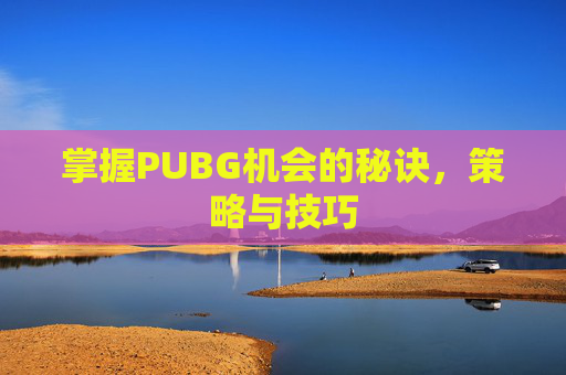 掌握PUBG机会的秘诀，策略与技巧