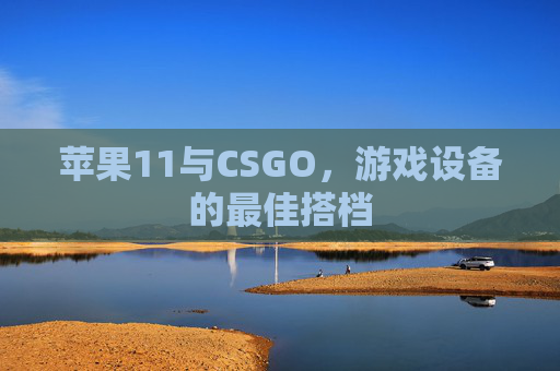 苹果11与CSGO，游戏设备的最佳搭档