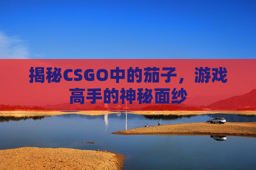 揭秘CSGO中的茄子，游戏高手的神秘面纱