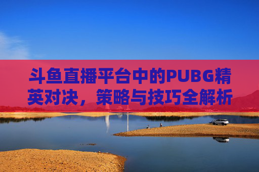 斗鱼直播平台中的PUBG精英对决，策略与技巧全解析