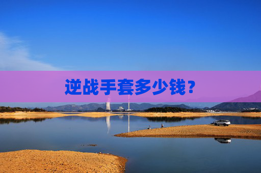 逆战手套多少钱？