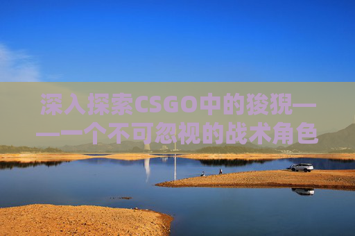 深入探索CSGO中的狻猊——一个不可忽视的战术角色
