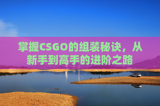 掌握CSGO的组装秘诀，从新手到高手的进阶之路