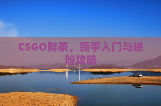 CSGO胖茶，新手入门与进阶攻略