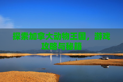 探索加拿大动物王国，游戏攻略与秘籍