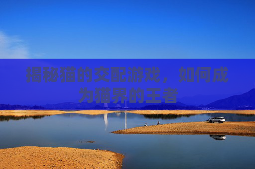 揭秘猫的交配游戏，如何成为猫界的王者