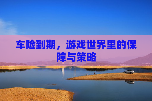 车险到期，游戏世界里的保障与策略