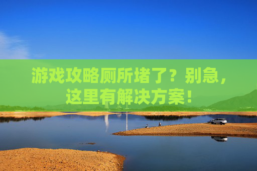 游戏攻略厕所堵了？别急，这里有解决方案！
