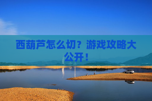 西葫芦怎么切？游戏攻略大公开！