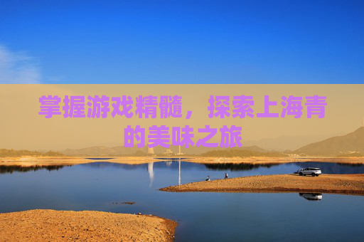 掌握游戏精髓，探索上海青的美味之旅