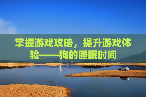 掌握游戏攻略，提升游戏体验——狗的睡眠时间