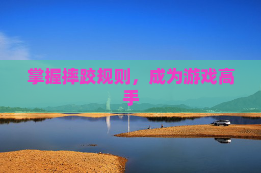 掌握摔跤规则，成为游戏高手