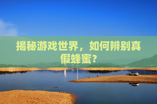 揭秘游戏世界，如何辨别真假蜂蜜？