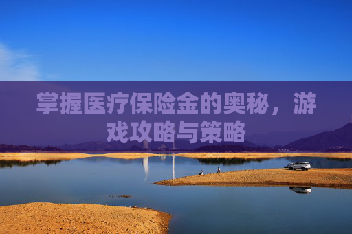 掌握医疗保险金的奥秘，游戏攻略与策略