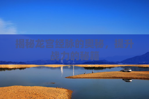 揭秘龙宫经脉的奥秘，提升战力的秘籍