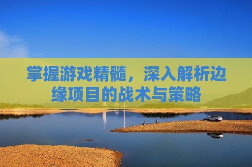 掌握游戏精髓，深入解析边缘项目的战术与策略